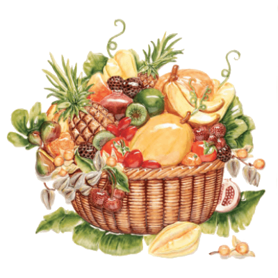 Logo Vis frutta e verdura Paese